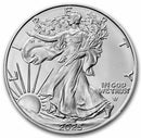 1 oz American Silver Eagle Coin (2026 to 2005)