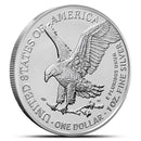 2026 1 oz American Silver Eagle Coin